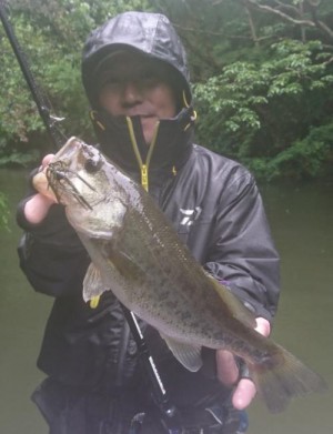 hideup 板山雅樹  ブログ写真 2018/05/10