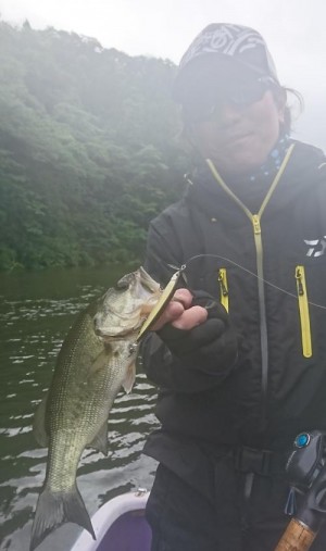 hideup 板山雅樹  ブログ写真 2018/05/10