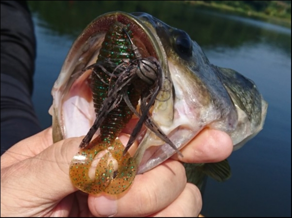 hideup 板山雅樹  ブログ写真 2018/08/03