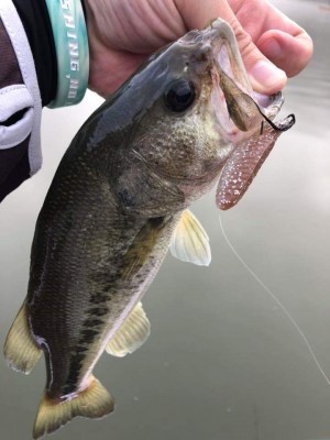 hideup 板山雅樹  ブログ写真 2019/08/06