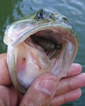 hideup 板山雅樹  ブログ写真 2019/08/09