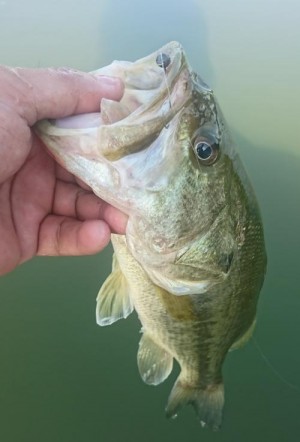 hideup 板山雅樹  ブログ写真 2019/08/10
