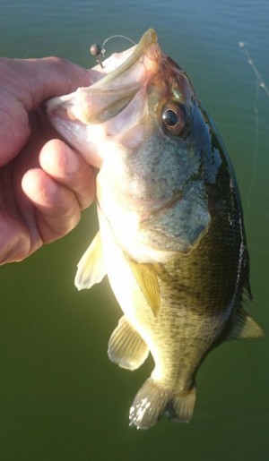 hideup 板山雅樹  ブログ写真 2019/08/10