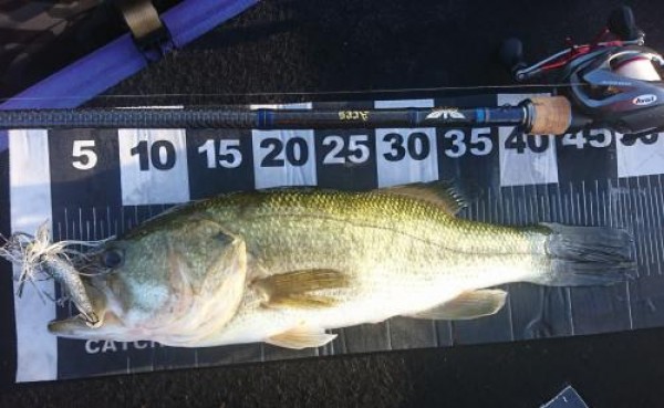 hideup 板山雅樹  ブログ写真 2019/08/10