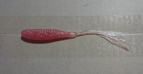 hideup 板山雅樹  ブログ写真 2019/08/13