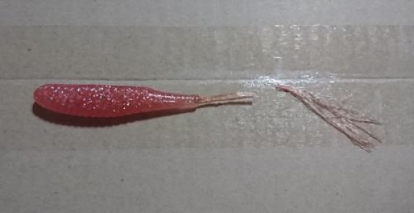 hideup 板山雅樹  ブログ写真 2019/08/13