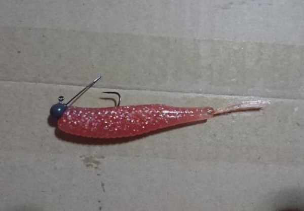 hideup 板山雅樹  ブログ写真 2019/08/13