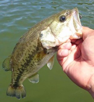 hideup 板山雅樹  ブログ写真 2019/08/14