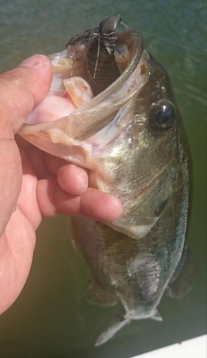 hideup 板山雅樹  ブログ写真 2019/08/14