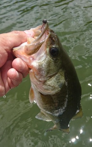 hideup 板山雅樹  ブログ写真 2019/08/14