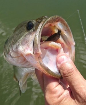 hideup 板山雅樹  ブログ写真 2019/08/14