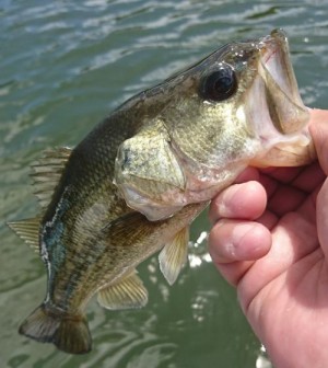 hideup 板山雅樹  ブログ写真 2019/08/14