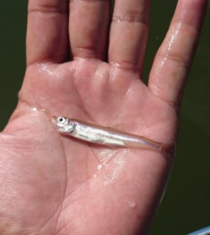 hideup 板山雅樹  ブログ写真 2019/08/14