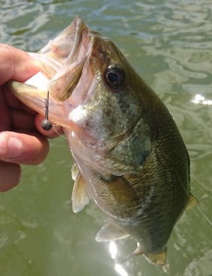 hideup 板山雅樹  ブログ写真 2019/08/14