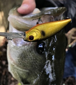 hideup 久次米良信 ブログ写真 2017/12/16