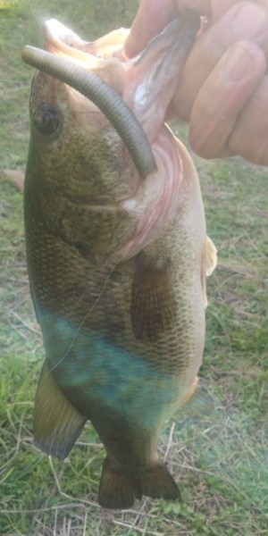 hideup 久次米良信 ブログ写真 2017/05/11