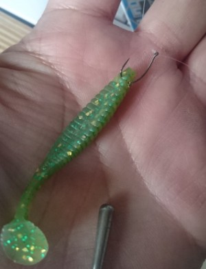 hideup 久次米良信 ブログ写真 2017/03/15