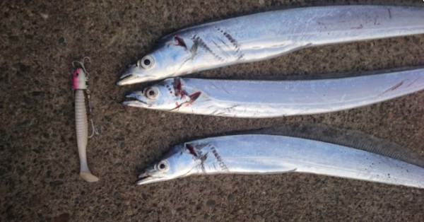 hideup 久次米良信 ブログ写真 2017/10/06