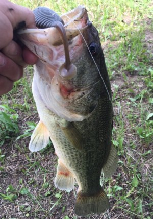 hideup 久次米良信 ブログ写真 2016/06/09