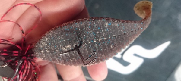 hideup 久次米良信 ブログ写真 2017/06/07