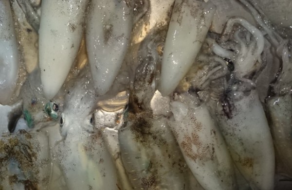 hideup 久次米良信 ブログ写真 2016/09/10