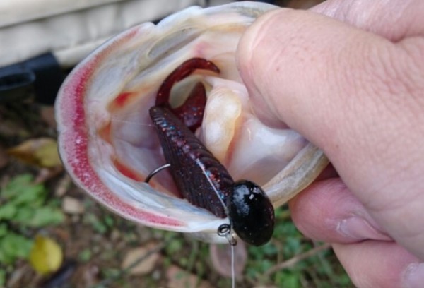 hideup 久次米良信 ブログ写真 2016/12/15