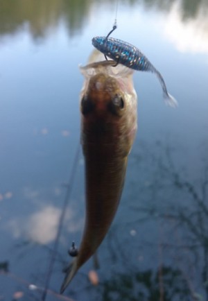 hideup 久次米良信 ブログ写真 2017/01/07