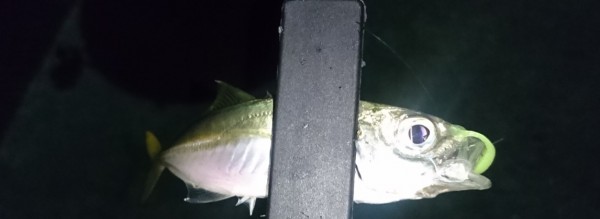 hideup 久次米良信 ブログ写真 2016/10/01