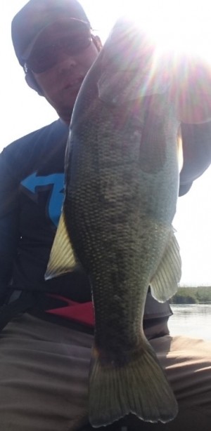 hideup 久次米良信 ブログ写真 2017/10/11