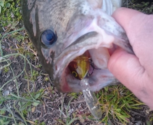 hideup 久次米良信 ブログ写真 2017/04/04