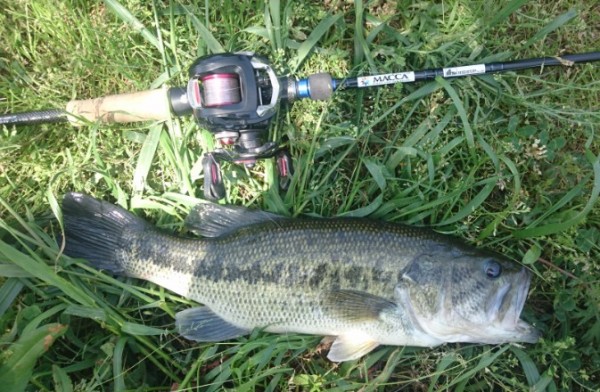 hideup 久次米良信 ブログ写真 2016/05/07