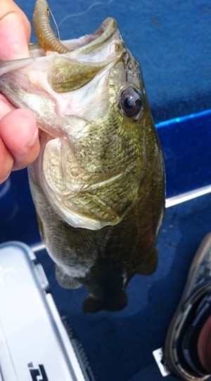 hideup 久次米良信 ブログ写真 2016/08/16