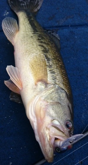 hideup 久次米良信 ブログ写真 2017/10/17