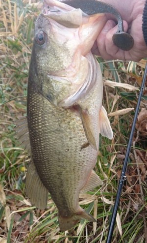 hideup 久次米良信 ブログ写真 2017/01/11