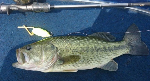 hideup 久次米良信 ブログ写真 2016/07/18