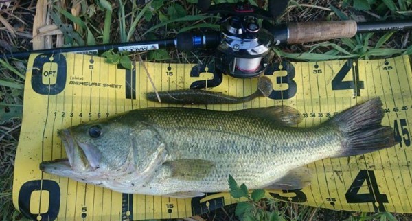 hideup 久次米良信 ブログ写真 2016/08/10