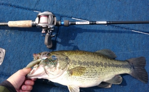 hideup 久次米良信 ブログ写真 2017/04/10