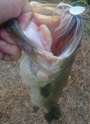 hideup 久次米良信 ブログ写真 2016/08/04