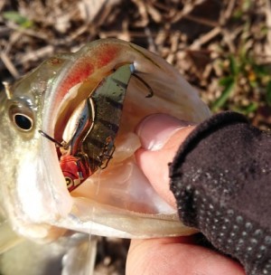 hideup 久次米良信 ブログ写真 2017/12/04