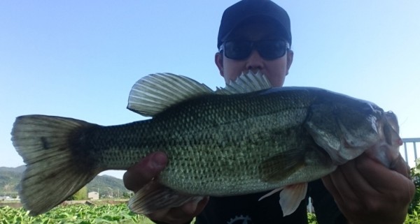 hideup 久次米良信 ブログ写真 2017/06/06