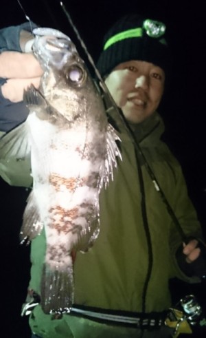 hideup 久次米良信 ブログ写真 2017/02/03