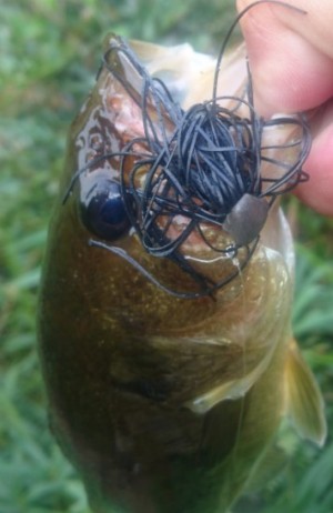 hideup 久次米良信 ブログ写真 2017/09/18