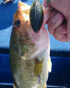 hideup 久次米良信 ブログ写真 2017/09/04