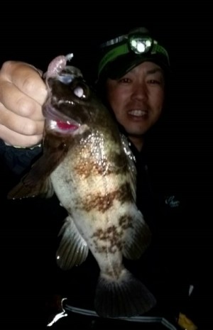 hideup 久次米良信 ブログ写真 2017/05/03