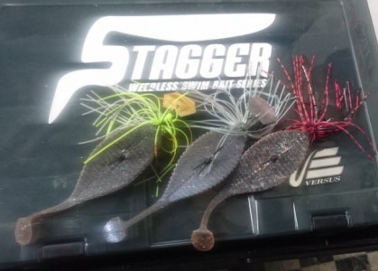 hideup 久次米良信 ブログ写真 2017/06/13