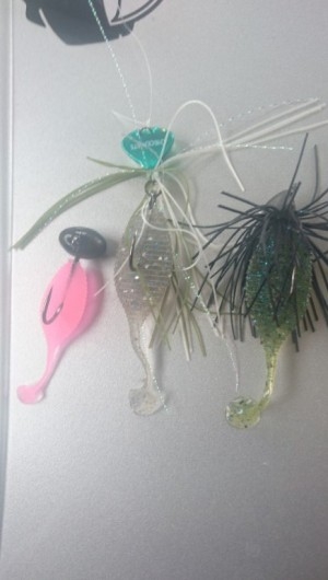 hideup 久次米良信 ブログ写真 2016/06/16