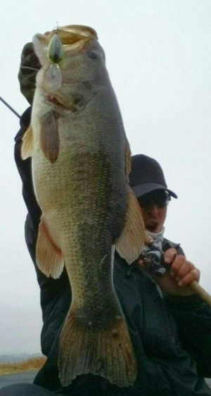 hideup 久次米良信 ブログ写真 2017/02/07