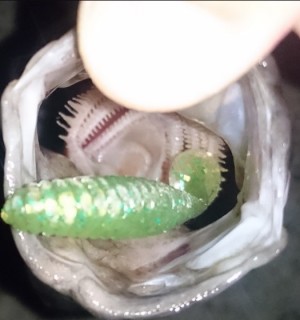 hideup 久次米良信 ブログ写真 2017/03/07