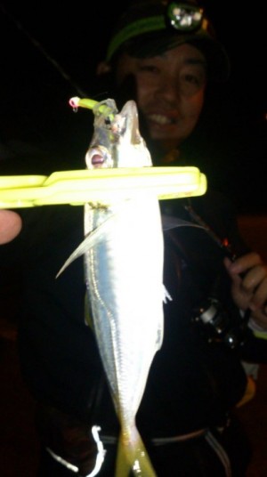 hideup 久次米良信 ブログ写真 2017/09/15