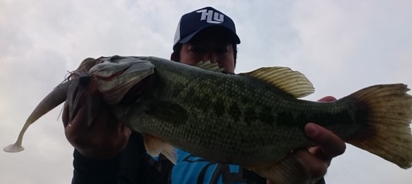 hideup 久次米良信 ブログ写真 2017/08/12